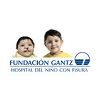 Cyberday Fundacion Gantz Cl 21